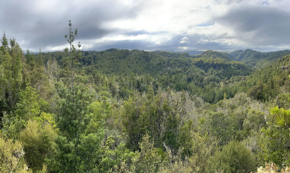 Waihora to Waihaha, Waikato