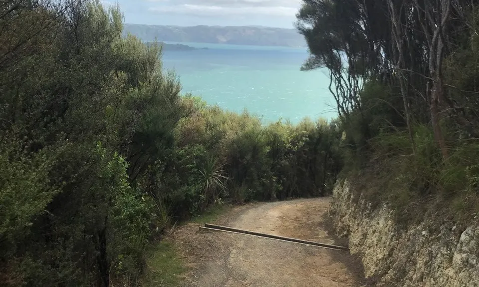 Butterfly Creek Loop, Wellington