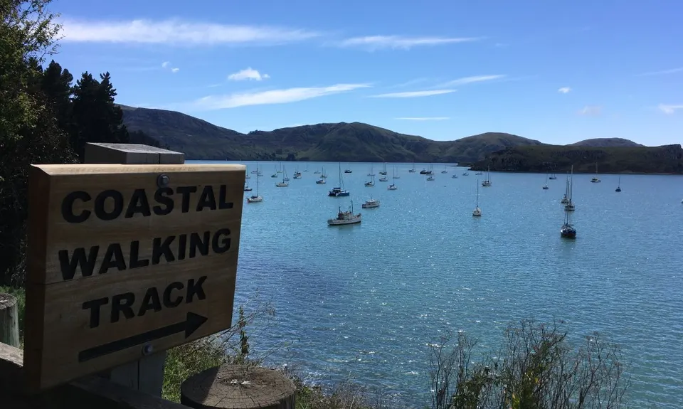 Coastal Cliff Candy, Canterbury