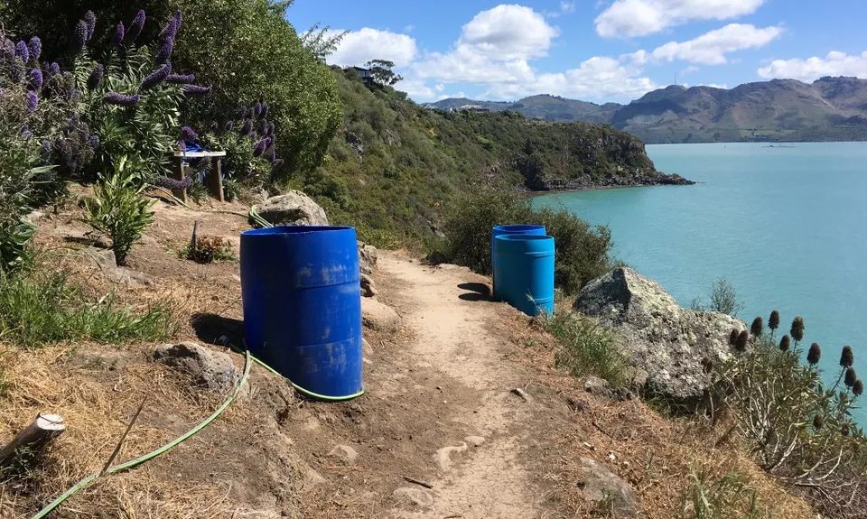 Coastal Cliff Candy, Canterbury
