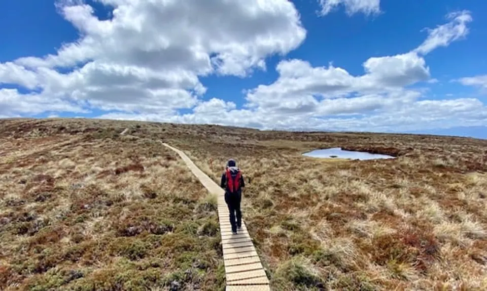 Kepler Track, Southland