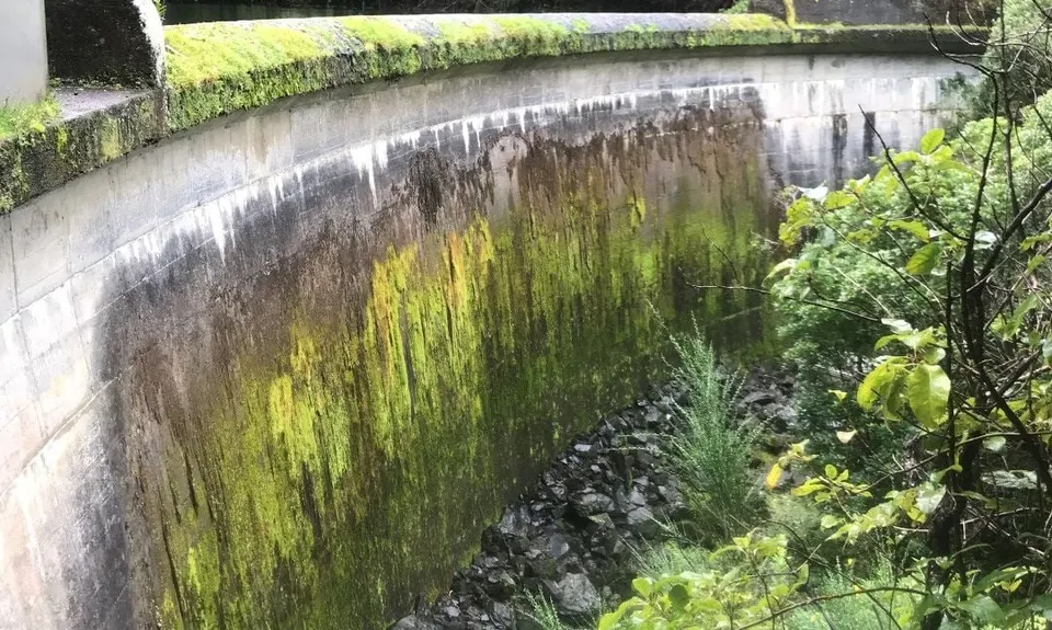 Birchville Dam Loop, Wellington