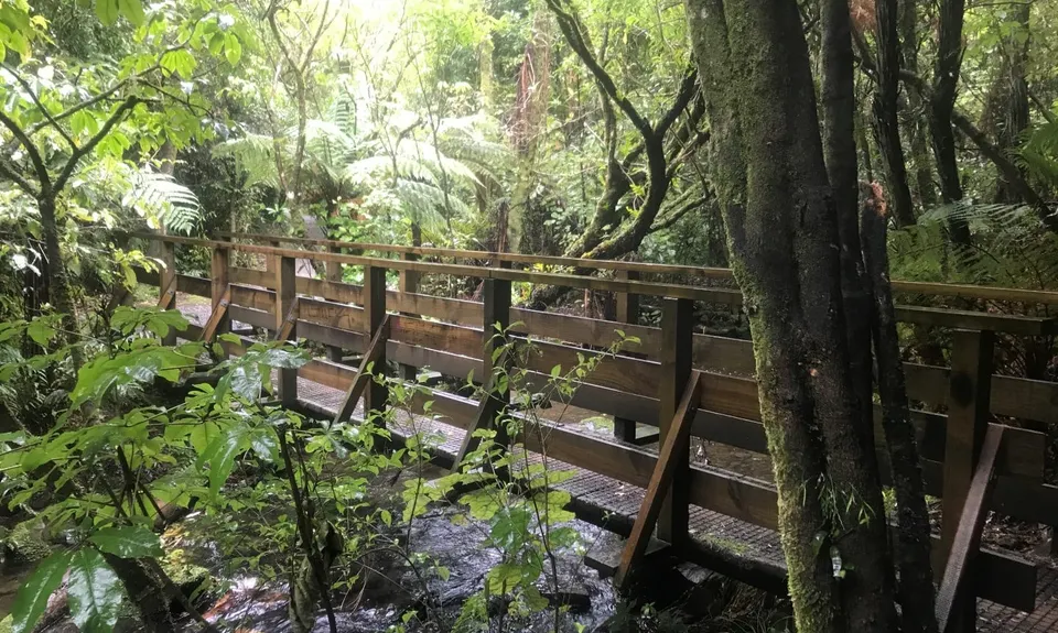 Birchville Dam Loop, Wellington