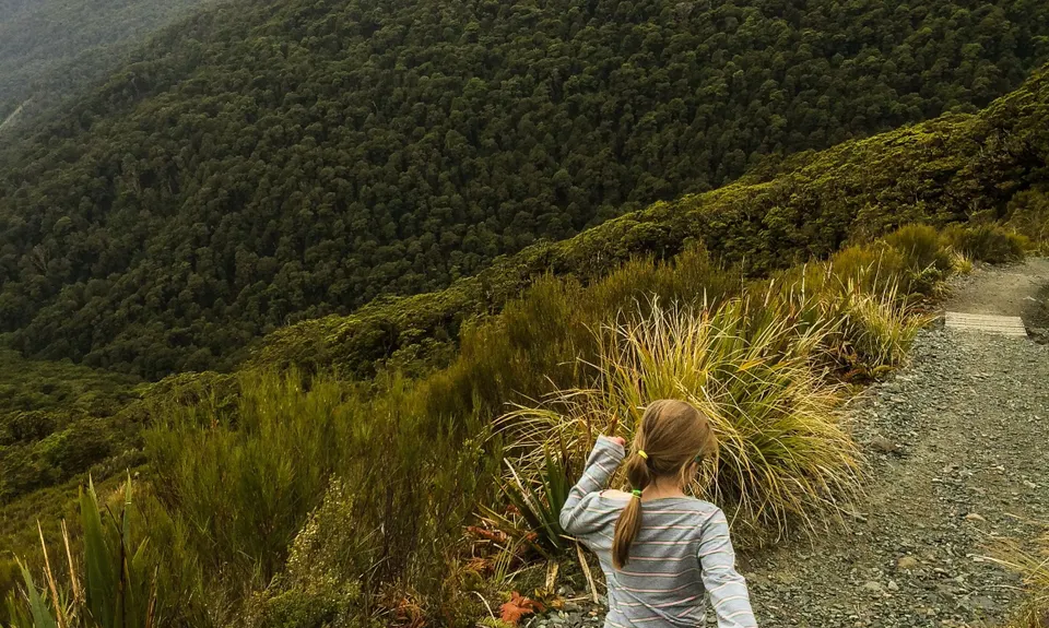 The Routeburn , Southland