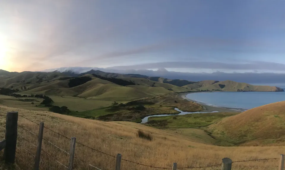 Top of the Coromandel, Waikato