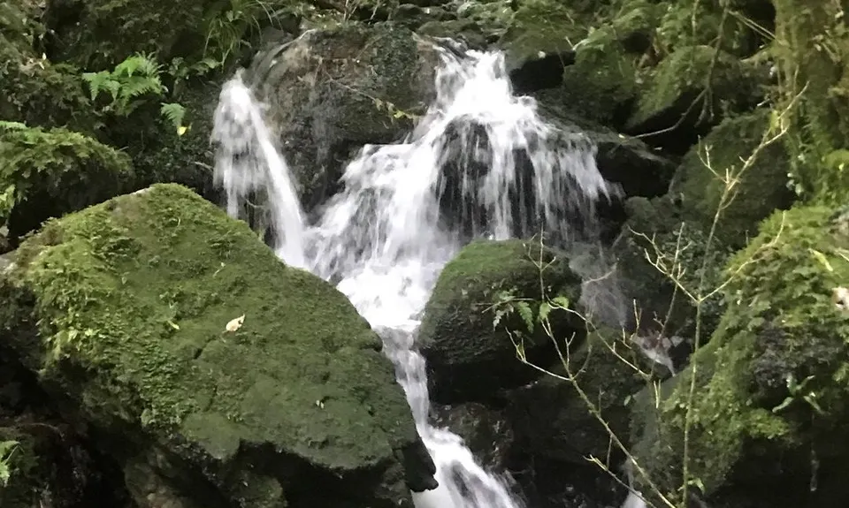 Karapoti Challenge, Wellington