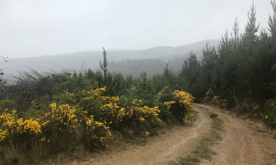 Karapoti Challenge, Wellington
