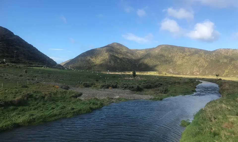 Baring It All, Wellington