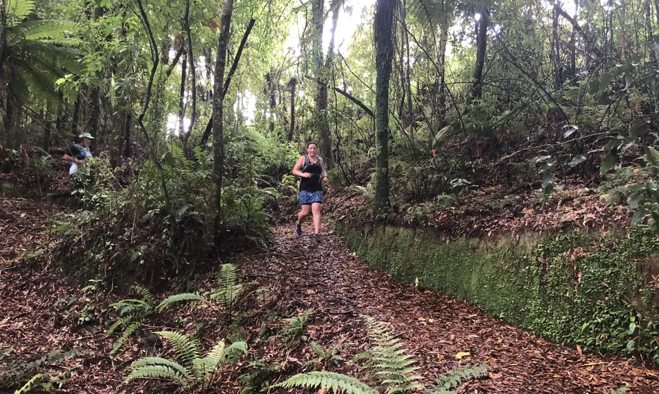 Buffalo Girl Trail - Tect Park, Bay of Plenty
