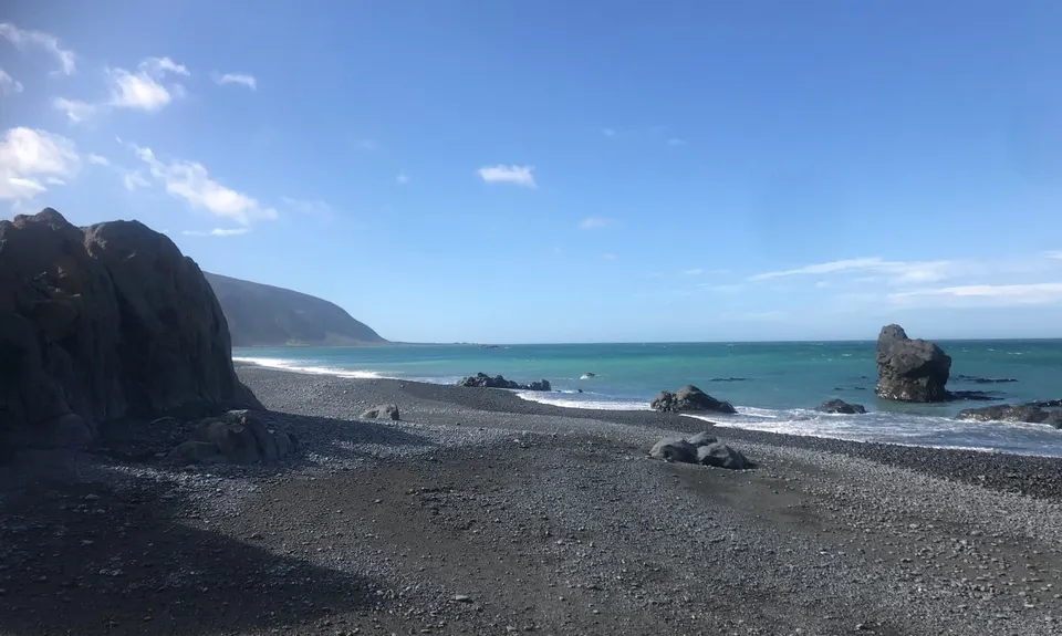 Baring It All, Wellington