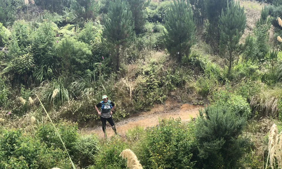 Buffalo Girl Trail - Tect Park, Bay of Plenty