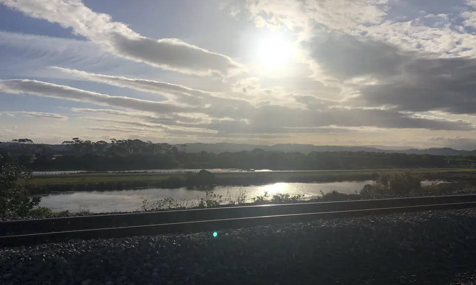 Westshore Flattie, Hawkes Bay