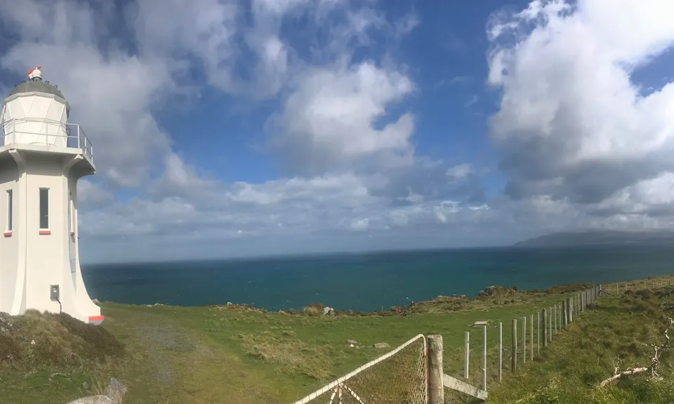 Baring It All, Wellington