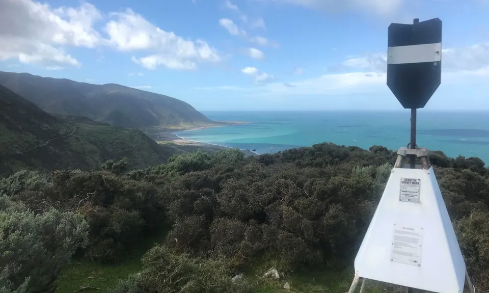 Baring It All, Wellington