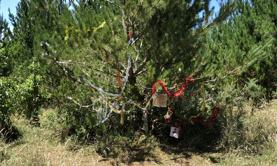 Levin Trig, Manawatu - Wanganui