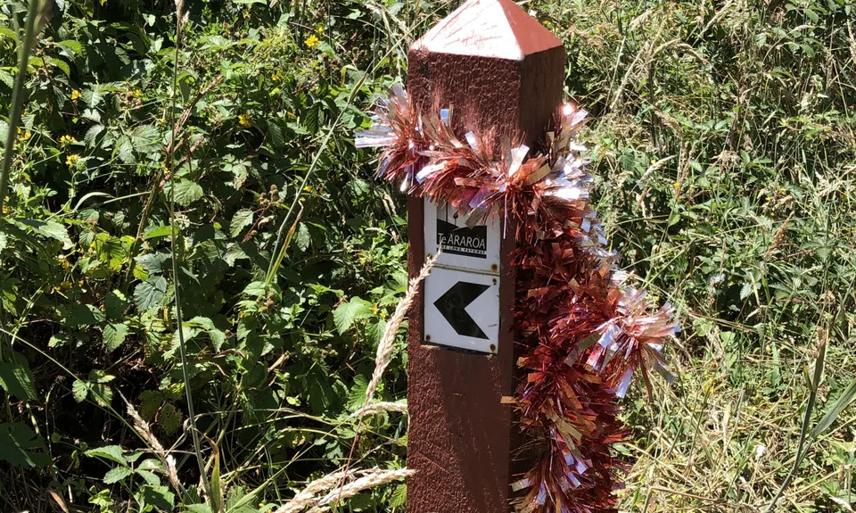 Levin Trig, Manawatu - Wanganui