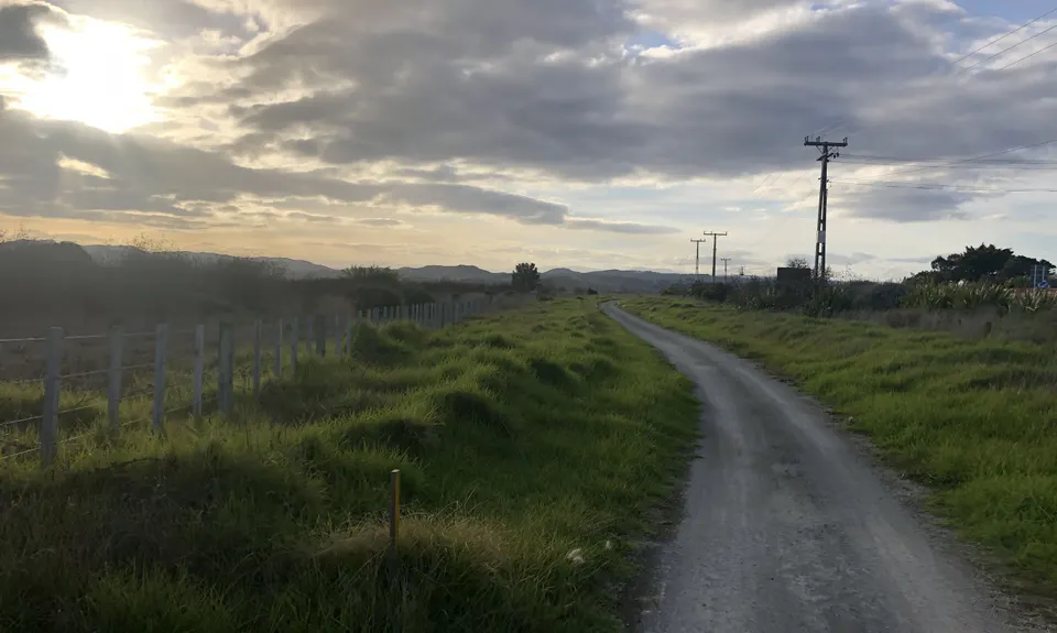 Westshore Flattie, Hawkes Bay