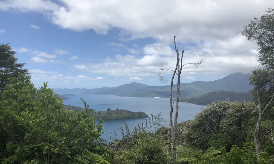 QCT - Anakiwa to Te Mahia , Marlborough