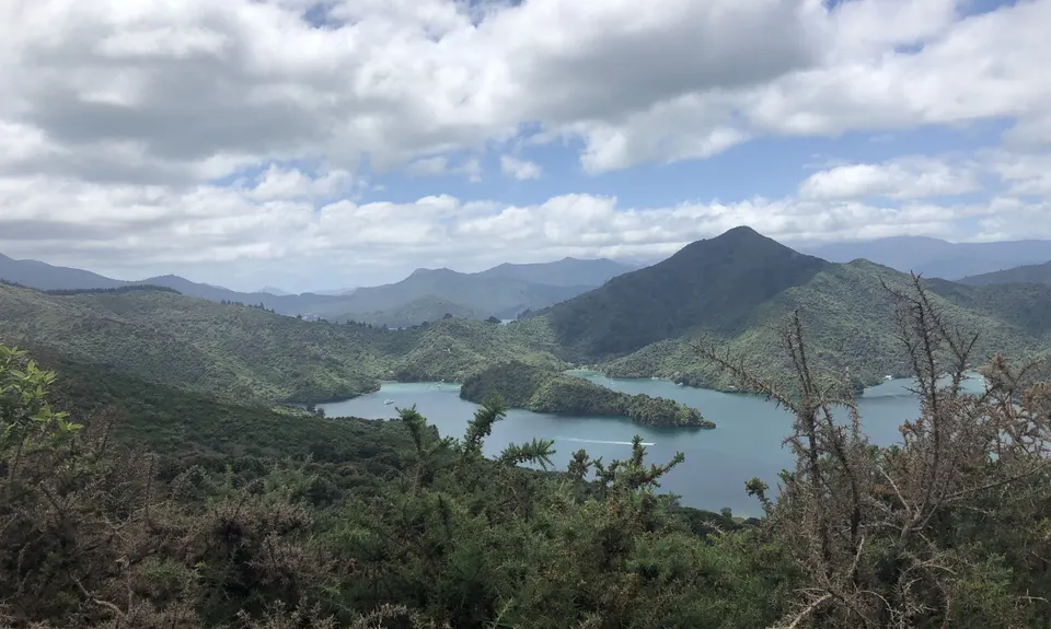 QCT - Anakiwa to Te Mahia , Marlborough