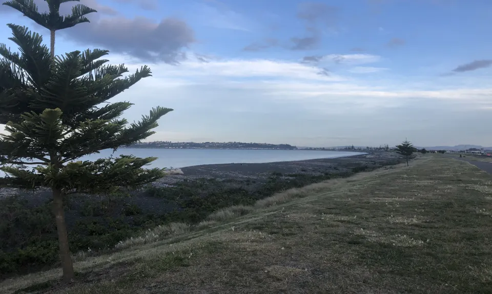 Westshore Flattie, Hawkes Bay