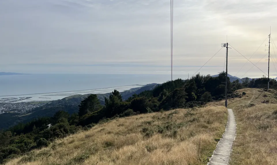 Brook - Fringed Hill - 3rd House return, Nelson
