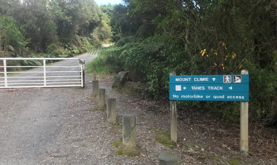 Mt Climie & Tane's Track, Wellington