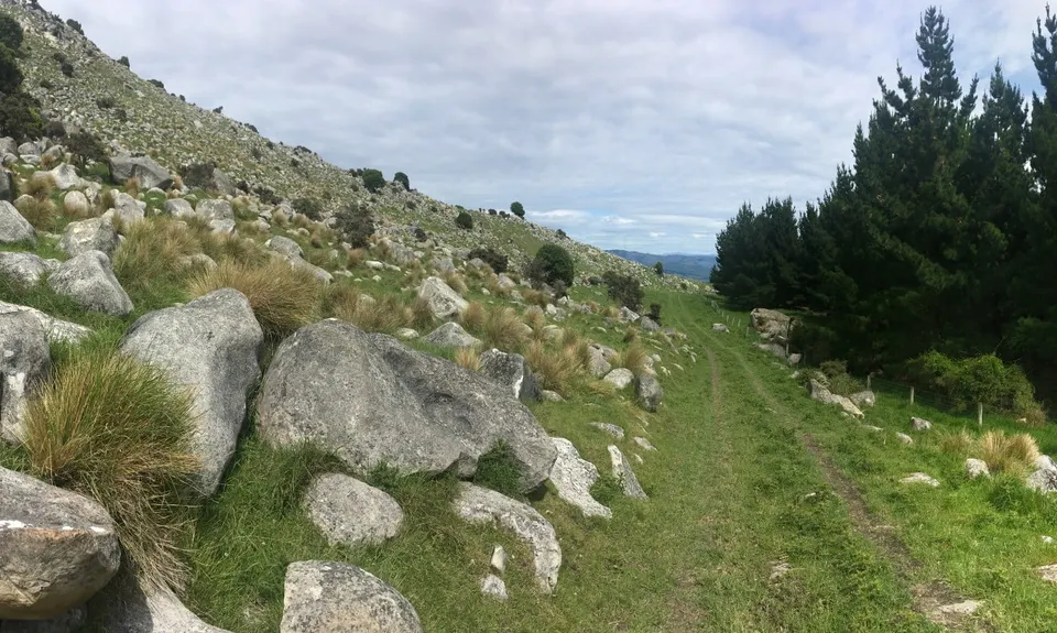 Mt Cass Clamber, Canterbury