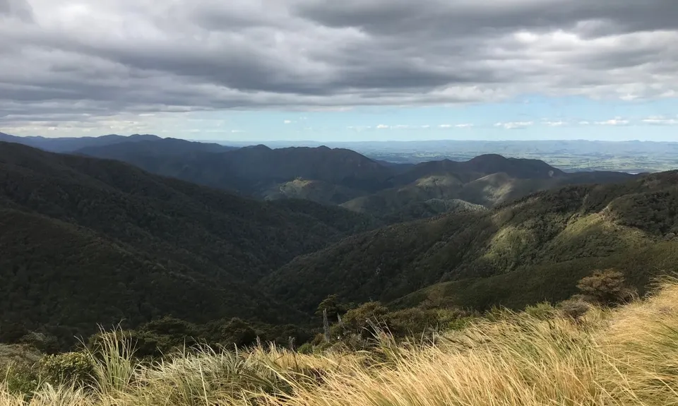 Mt Climie & Tane's Track, Wellington