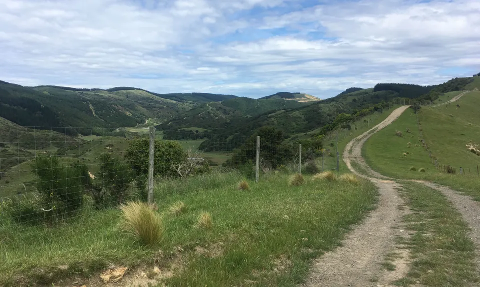 Tiromoana Track, Canterbury