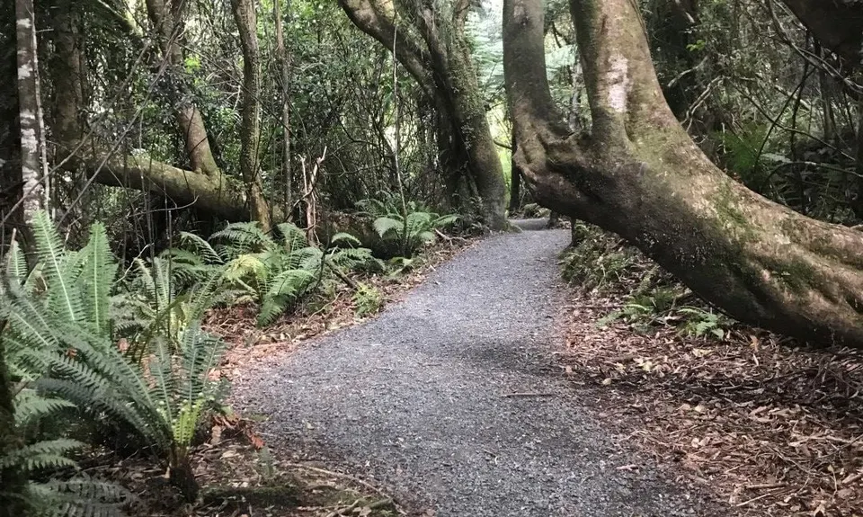 Mt Climie & Tane's Track, Wellington