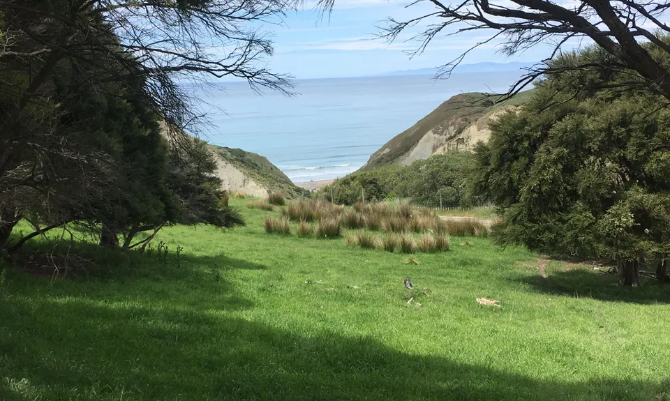 Tiromoana Track, Canterbury
