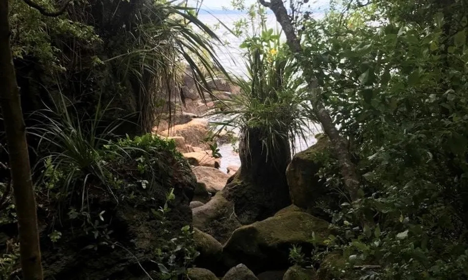 Rangatira Ramble, Waikato