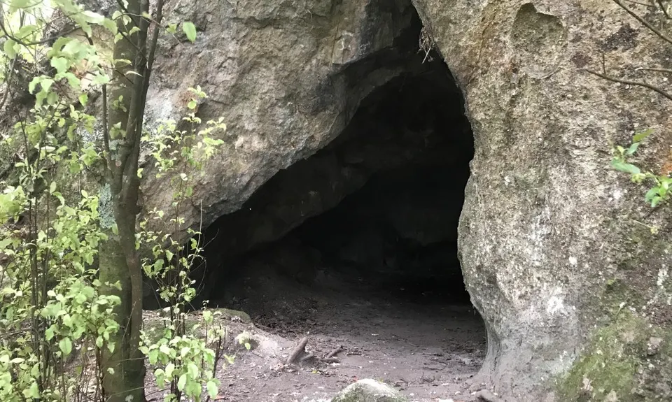 Rangatira Ramble, Waikato