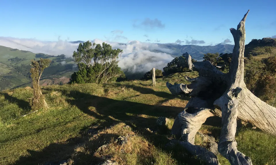Sweet Sinclair Summit, Canterbury