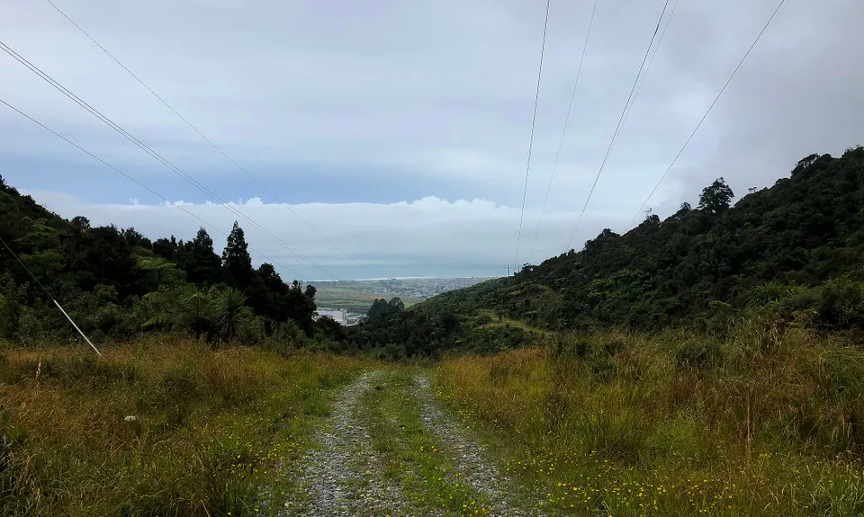 Tuatara Trail Run, West Coast