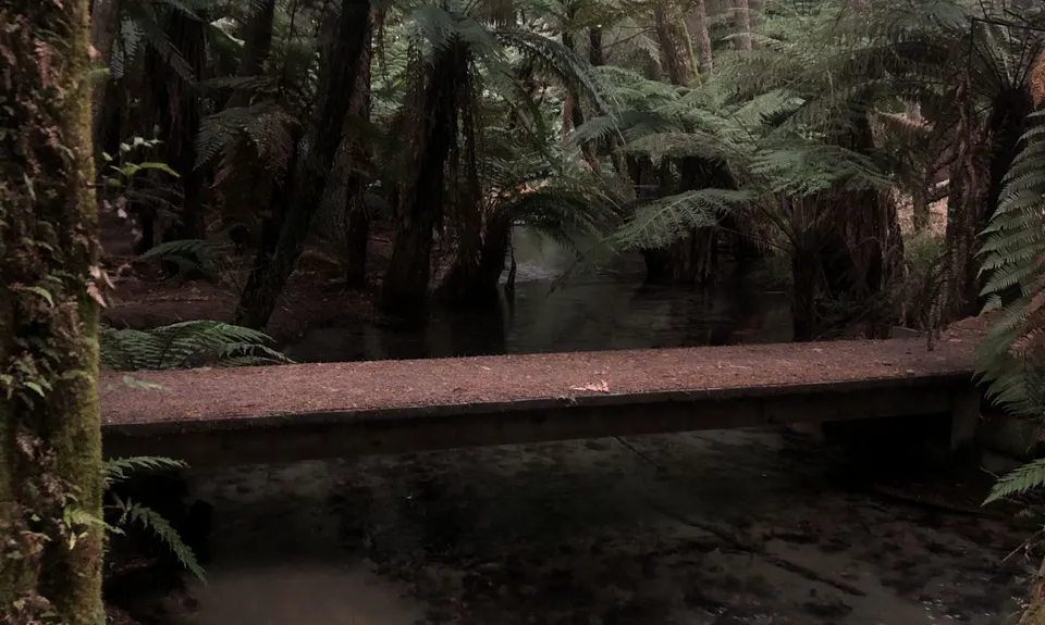 3 of the Best, Bay of Plenty