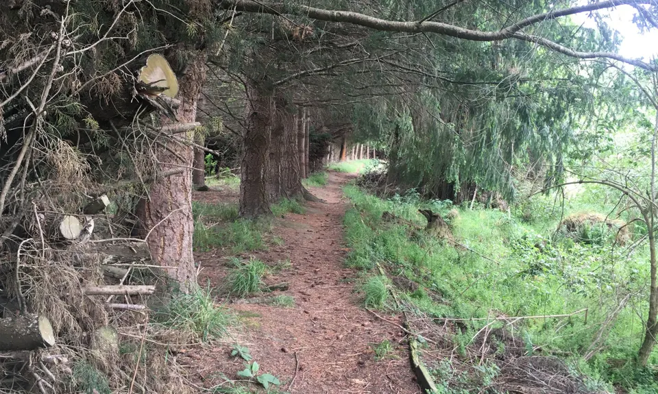 Pareora Perambulation, Canterbury