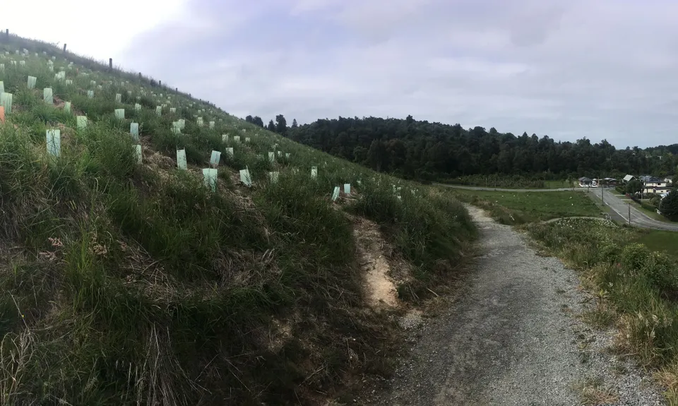 The Giants of Geraldine, Canterbury