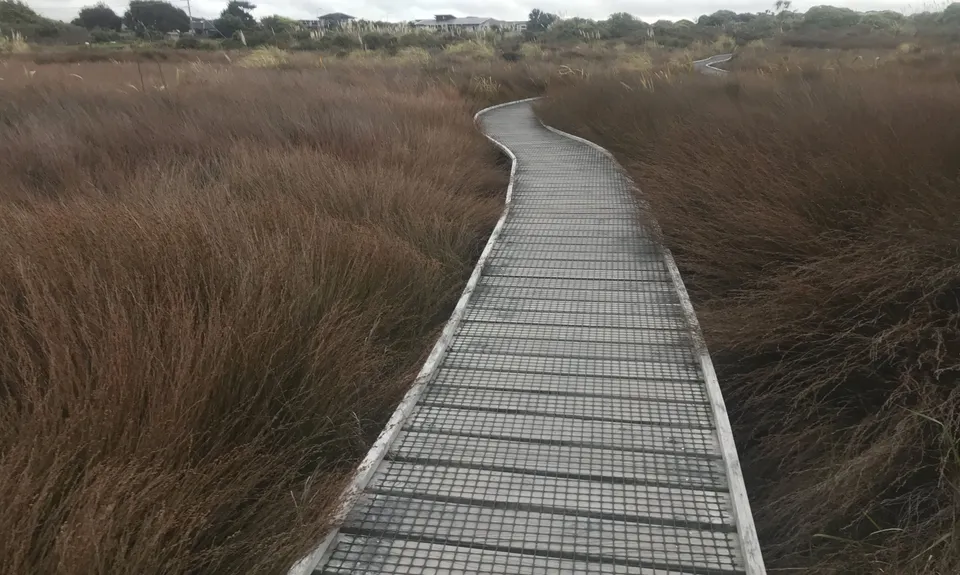 Waikanae River & Estuary, Wellington