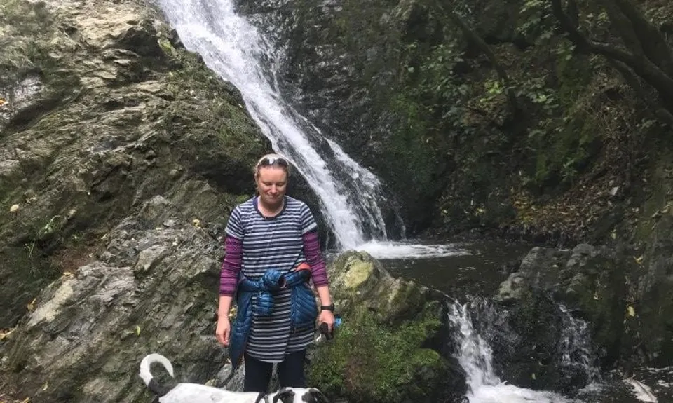 Seton Nossiter Waterfall & Lookout, Wellington