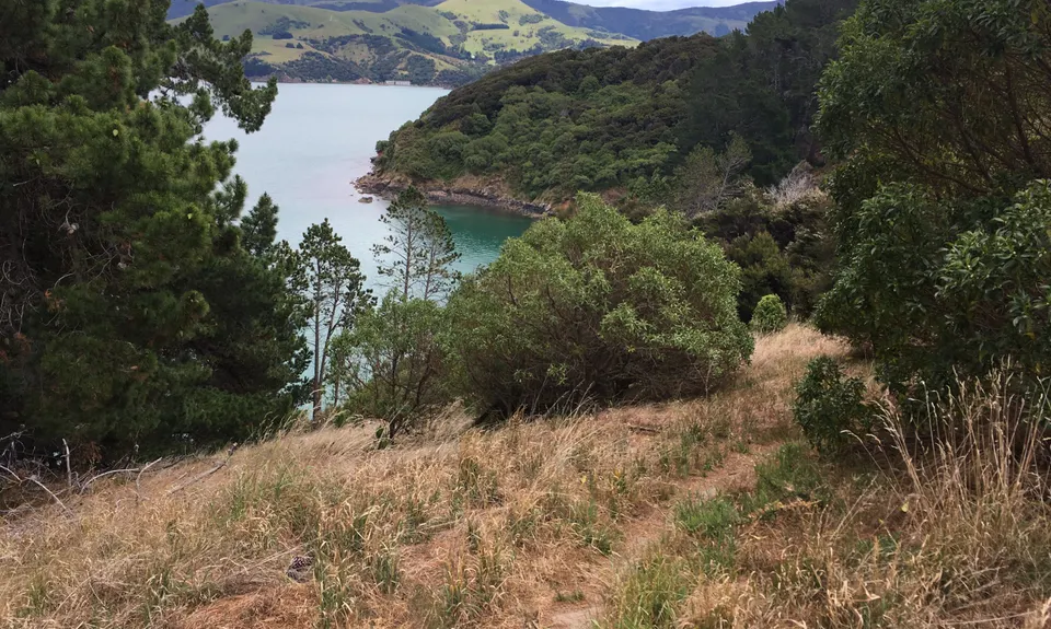 Moa Point Loop, Canterbury