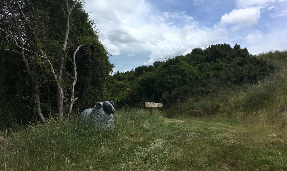 Moa Point Loop, Canterbury