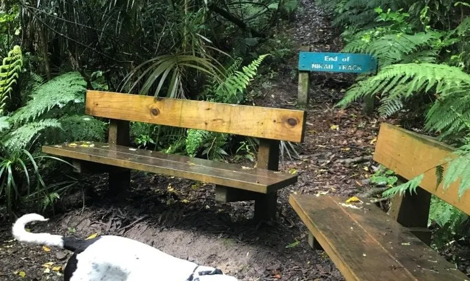 Wainuiomata Recreation Area, Wellington