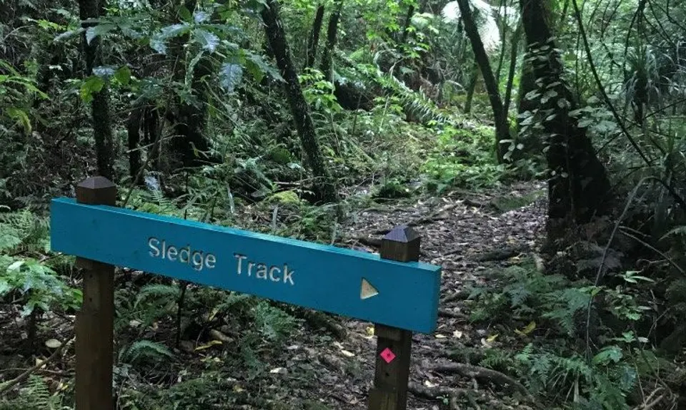 Wainuiomata Recreation Area, Wellington