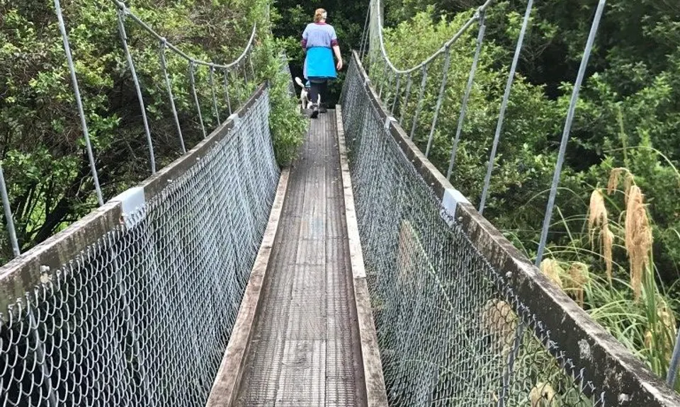 Wainuiomata Recreation Area, Wellington