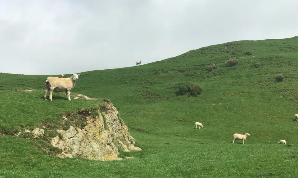 Belmont Regional Park - Oakleigh to Hill, Wellington