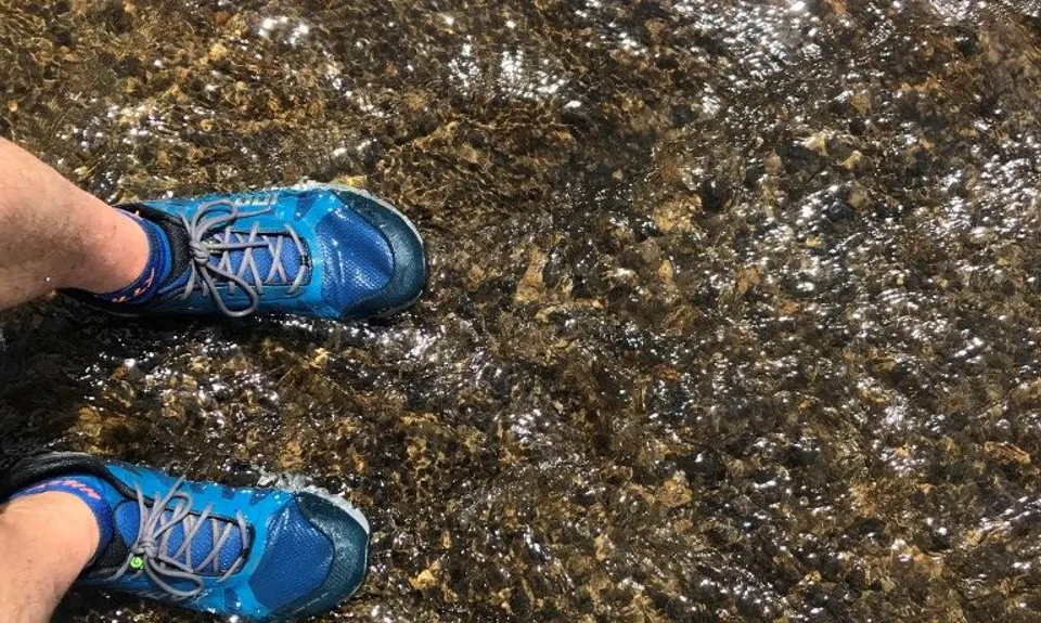 Belmont Regional Park - Oakleigh to Hill, Wellington