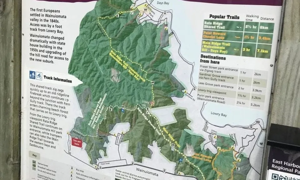 Rata Ridge, Wellington