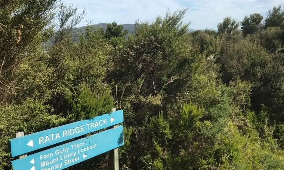 Rata Ridge, Wellington