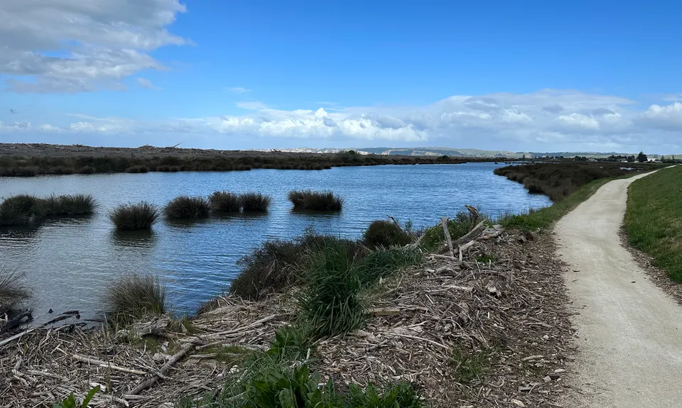 Clive Speed Loop, Hawkes Bay